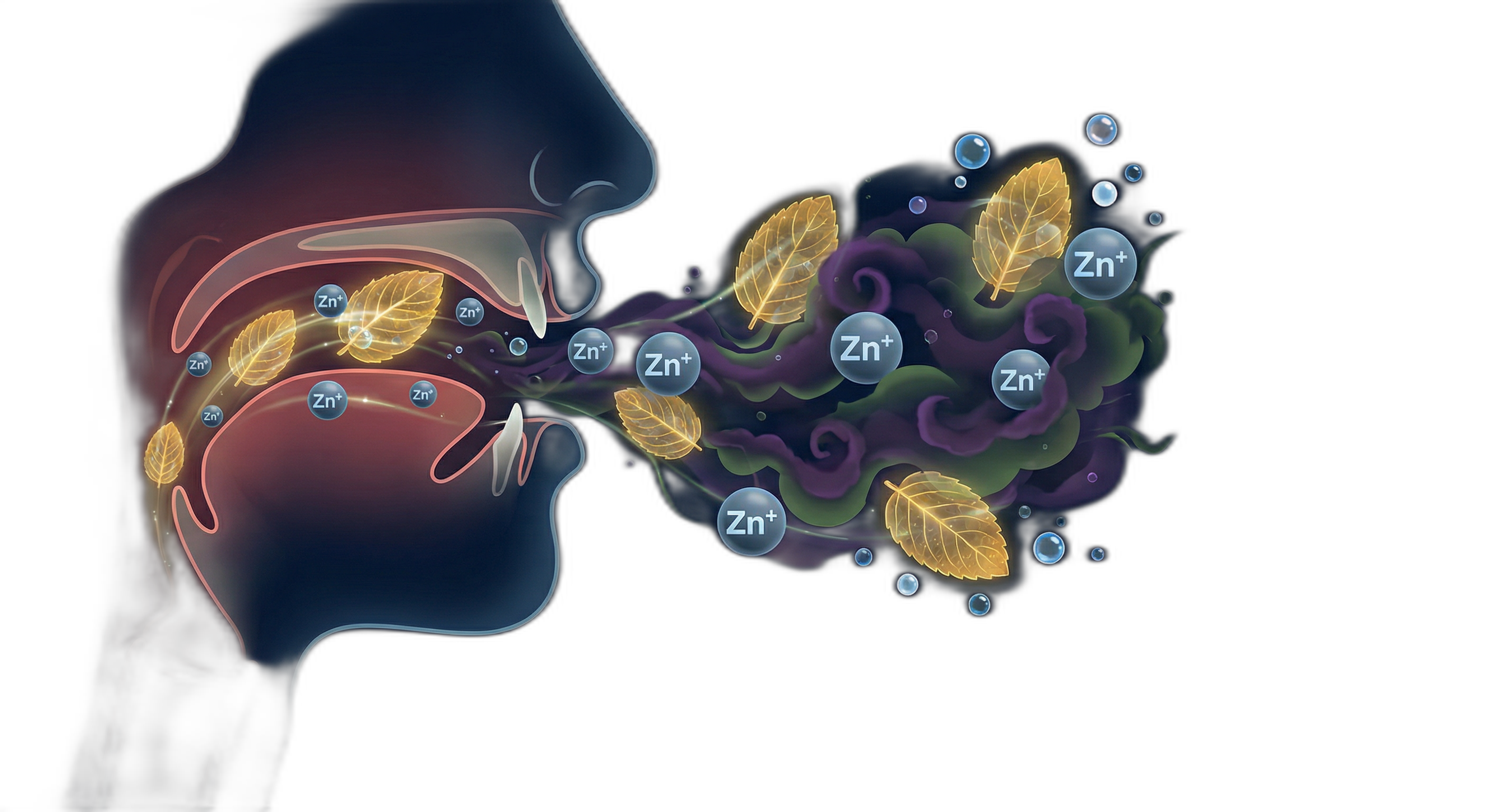 Bad Breath Prevention