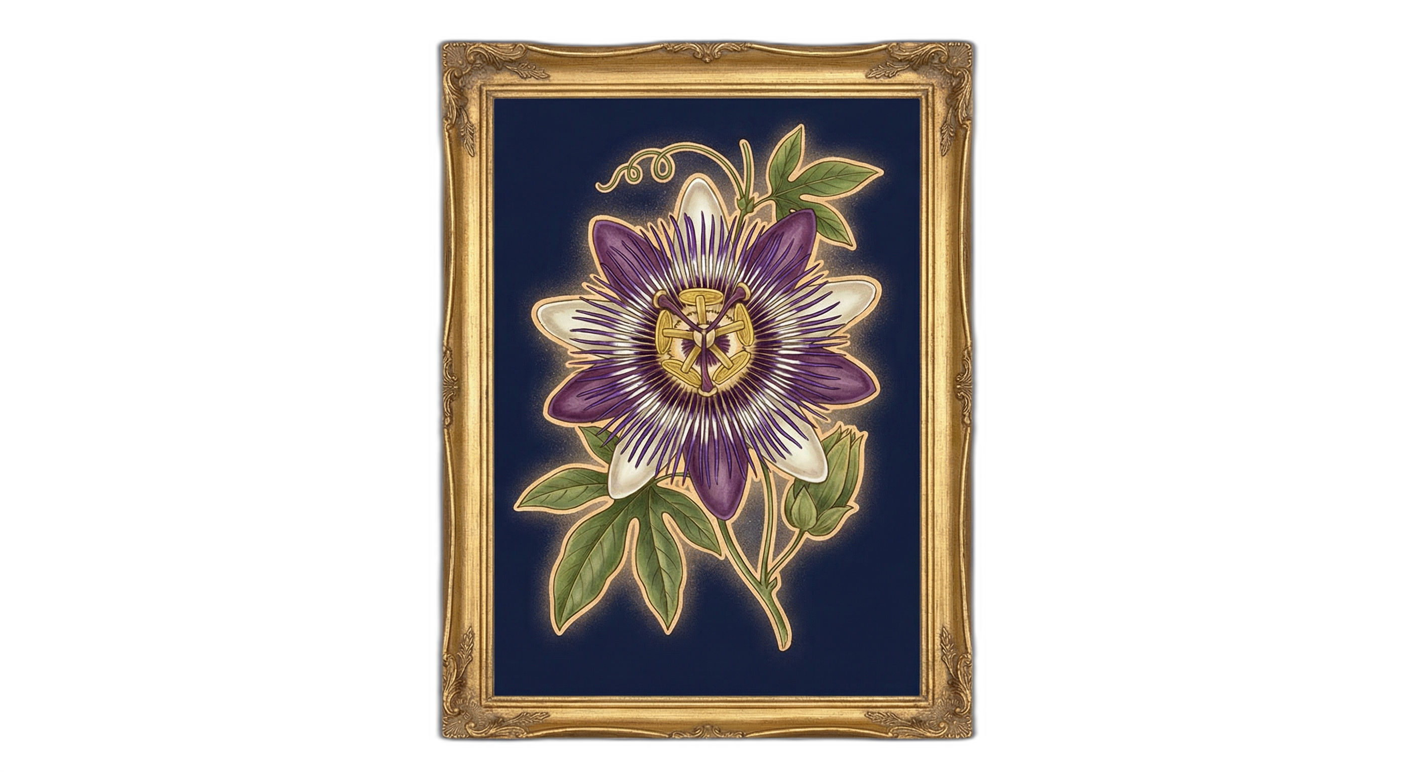 Passion Flower